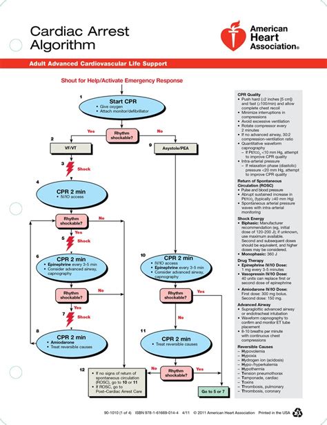 Diskon 24 Pals Algorithm 2020 Pdf