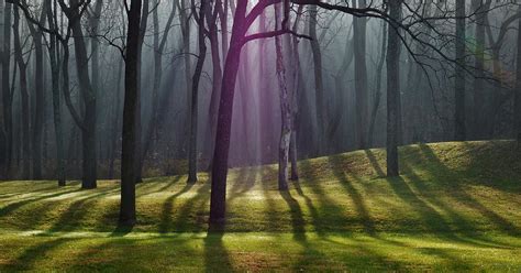 Mystic Woods Photograph By Greg Kear Fine Art America