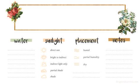 Free printable plant care cards. free printable! plant care card | designandcuriosity.com ...
