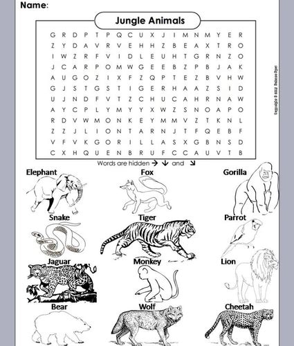 Jungle Animals Word Search Coloring Book Teaching Resources
