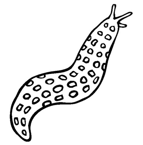 Slug Drawing At Getdrawings Free Download