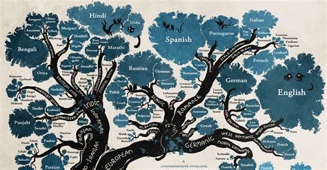 The Tree Of Languages Illustrated In A Big Beautiful Infographic