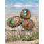 Summer Story Stones Summertime Starters Beach Time Painted 