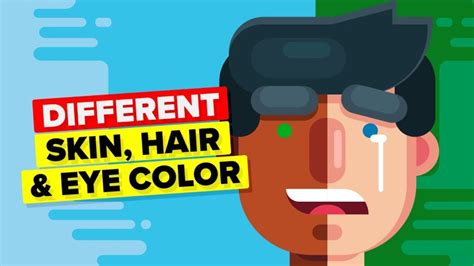 Video Infographic Why Do We Have Different Skin Hair And Eye Color