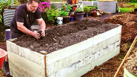 How To Fill Raised Vegetable Garden Beds And Save Money Gardening