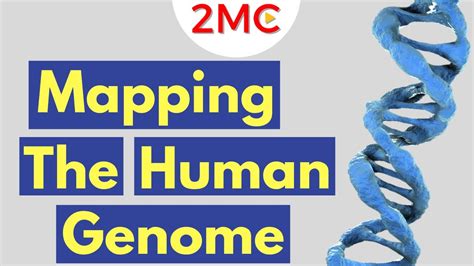 The Human Genome Project A Brief Overview Youtube