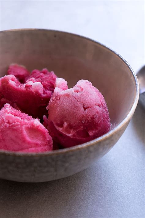 Sugary And Buttery Hibiscus Honey Sorbet Sugar Free Honey Ice Cream