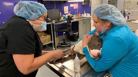 View all folsom animal shelter and rescue organizations in your area. City Animal Shelter Completes $1.5 Million Medical Unit ...