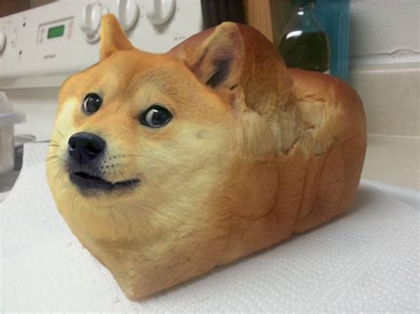 Dear Reddit Give Us This Day Our Daily Doge Bread Rdogecoin