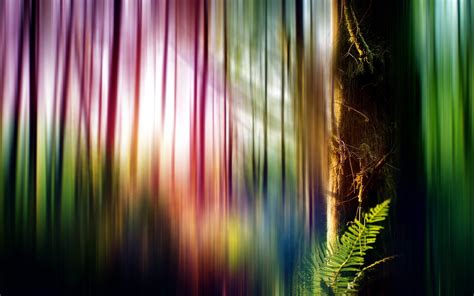Background Shape Color Style Tree Abstract Fern