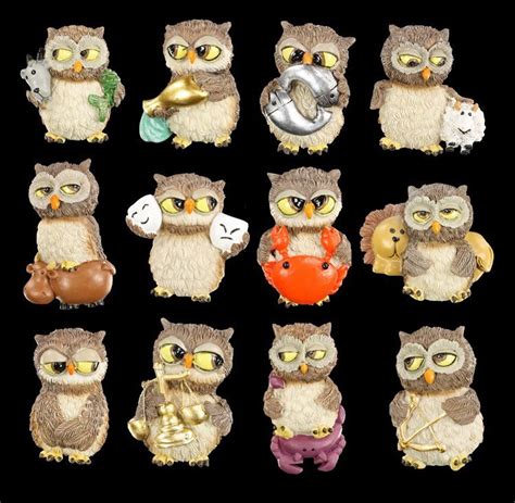Owl Magnets Zodiac Signs Set Of 12 Owls Funny Figurines Fun