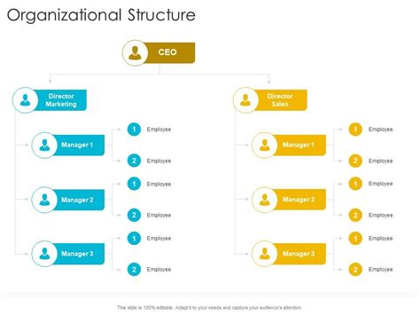 Organizational Structure Startup Company Strategy Ppt Powerpoint