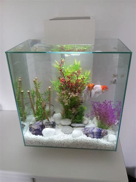 15 Gallon Fish Tank In Litres Wese Aquarium Fish