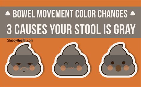 Bowel Movement Color Changes 3 Causes Your Stool Is Gray
