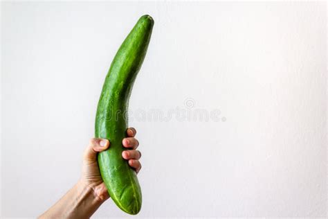 Woman Hand Holding Big Cucumber On White Background Stock Image Image