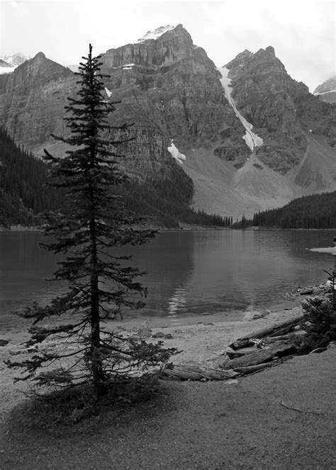 Moraine Lake In Black And White John B Flickr