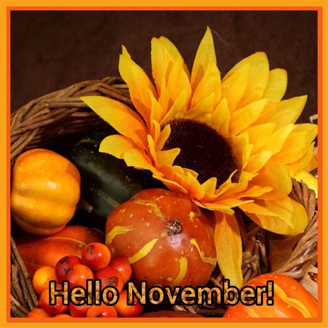 Happy November Have Fantastic Day!🦃 | Happy november, Hello november ...