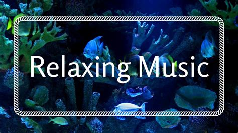 Aquarium ~ Relaxing Music For Sleep Study Meditation And Yoga 7 Hours