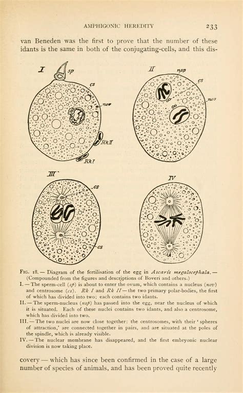 The Germ Plasm A Theory Of Heredity Weismann August 1834 1914