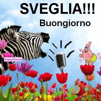 With tenor, maker of gif keyboard, add popular buongiorno animated gifs to your conversations. Gif buongiorno animate 6 » GIF Images Download