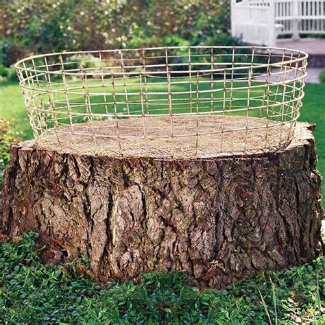 20 Diy Tree Stump Ideas For Backyard And Garden Tree Stump Planter