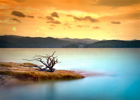 Mountain Lake Driftwood Sunset With Water And Sky Stock