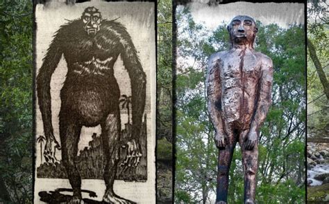 Australias Bigfoot Yowie Explained By Weird Physics History