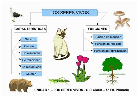 Pin By Neus Lluch On Naturales Biology Lessons Sistema Solar Science