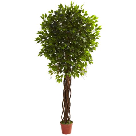 75 Foot Outdoor Artificial Ficus Tree Limited Uv 5379