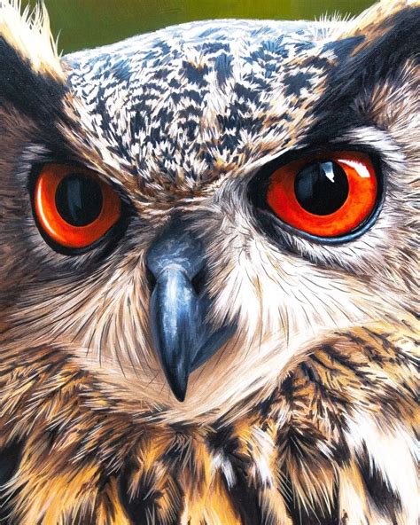 Realistic Bird Painting Owl By Marco Grasso