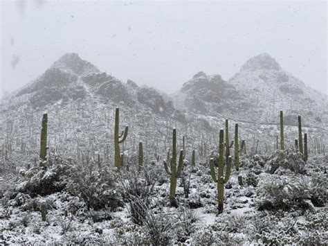 A Rare Snow Storm In The Sonoran Desert Of Tucson Az Oc 4032x3024