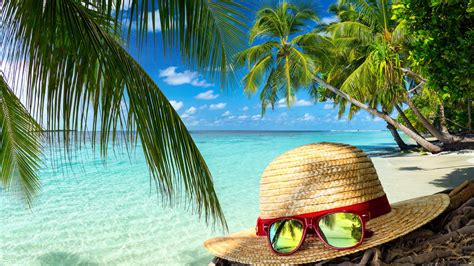 Summer Holiday Sea Palm Trees Sand Beach Hat Sunglasses