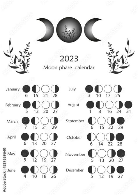 Téléchargez Le Vecteur Lunar Phase Chart And Cycles Lunar Calendar For
