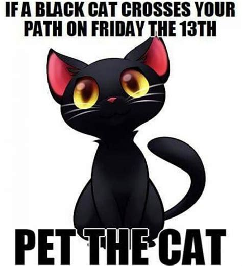 Friday The 13th Memes Happy Friday The 13th Funny Friday Crazy Cat