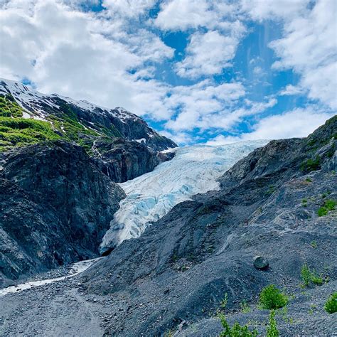 Exit Glacier Kenai Fjords National Park Ak Omdömen Tripadvisor
