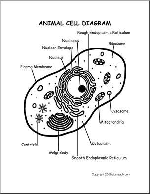 Let's look closer into the crucial differences between the labeled and unlabeled data in machine learning. Diagram: Animal Cell | abcteach