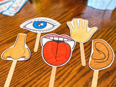 Five Senses Activities And Crafts For Preschoolers Modern Homestead