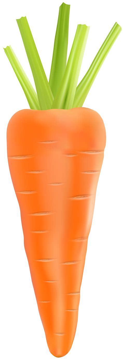 Carrot Vegetable Carrot Transparent Png Clip Art Image Png Download