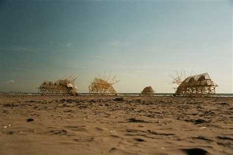 Theo Jansens Fabulous Strandbeests Roam Along The Beach Designs