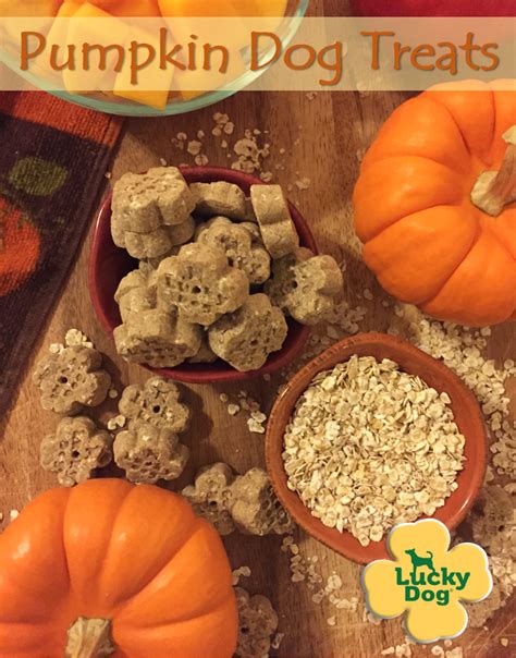 Dog treats and dog treat recipes. 4 Health Benefits of Pumpkin for Dogs: 1. Excellent source of fiber for healthy digestion 2 ...