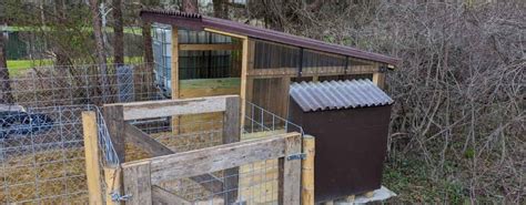 The Ultimate Diy Guide To Building A Pig Pen