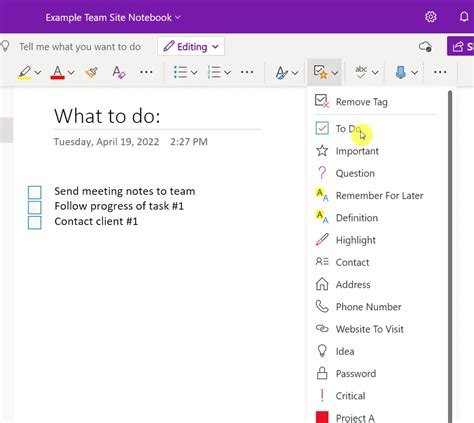 Project Management For Onenote Ultimate Template Productivity Hot Sex
