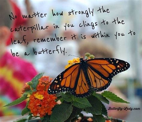 Be A Butterfly Butterfly Quotes Butterfly Inspiration Leaf Quotes