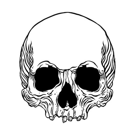 Premium Vector Anatomical Human Skull Vector Hand Drawn Illustration