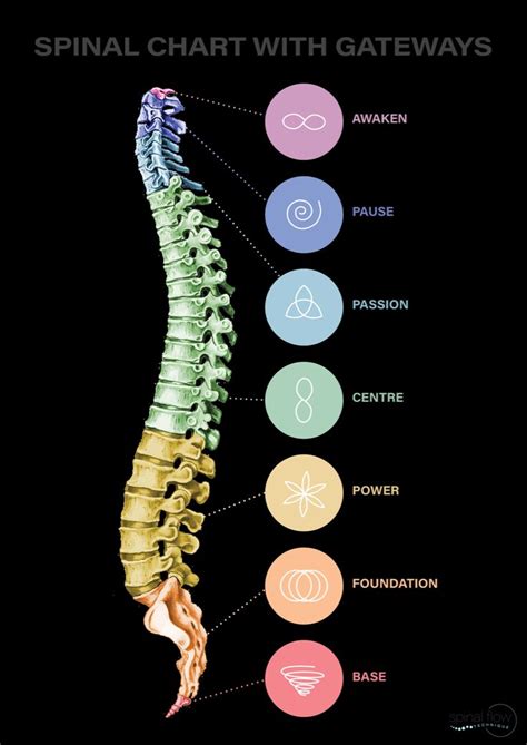 Spinal Flow Technique 7 Gateway Diagram Spinal Fluid Spinal Spinal Muscular Atrophy