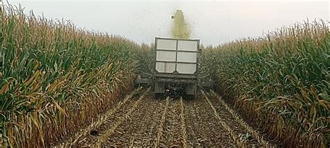 Wisconsin Rain Delays Harvest Activity Brownfield Ag News