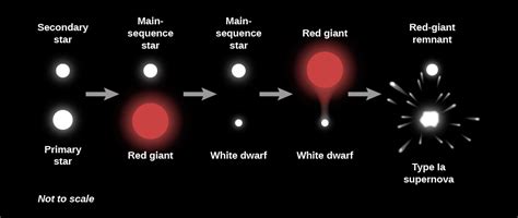 235 The Evolution Of Binary Star Systems Astronomy