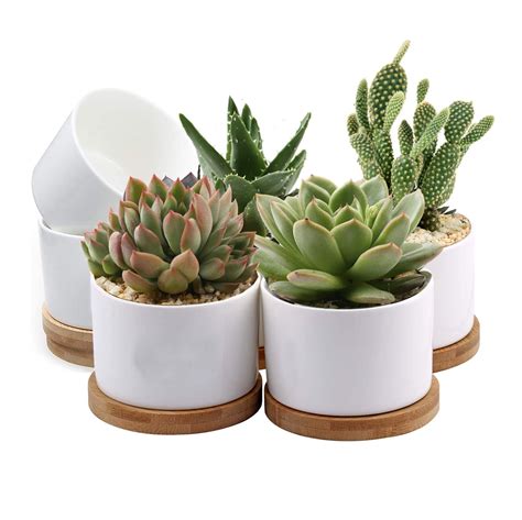 Succulent Potswhite Mini 315 Inch Ceramic Flower Planter Pot With