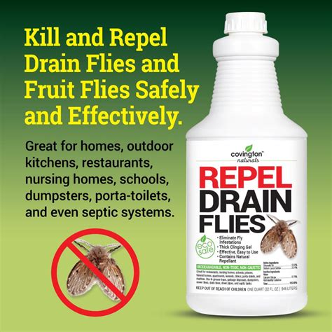This one solution will keep your pipes clean and removes drain flies. Drain Fly Killer, Fruit Fly Killer Gel Treatment and Drain ...