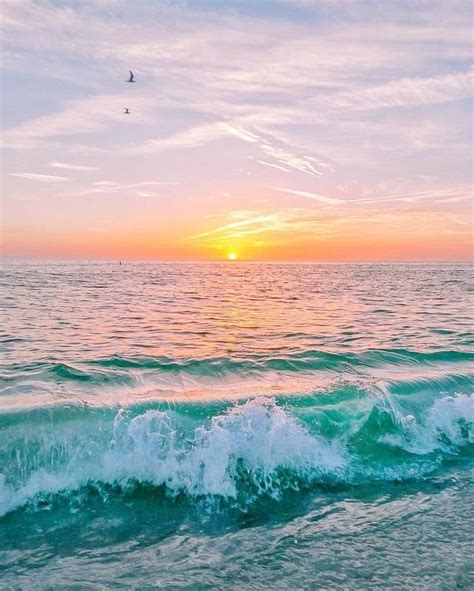 pinterest macywillcutt ☆ with images beach aesthetic beach photography beach pictures